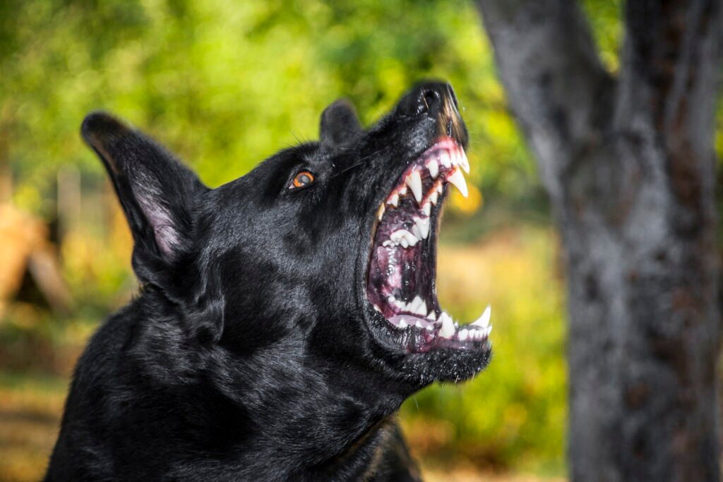 Female Scary Dog Names