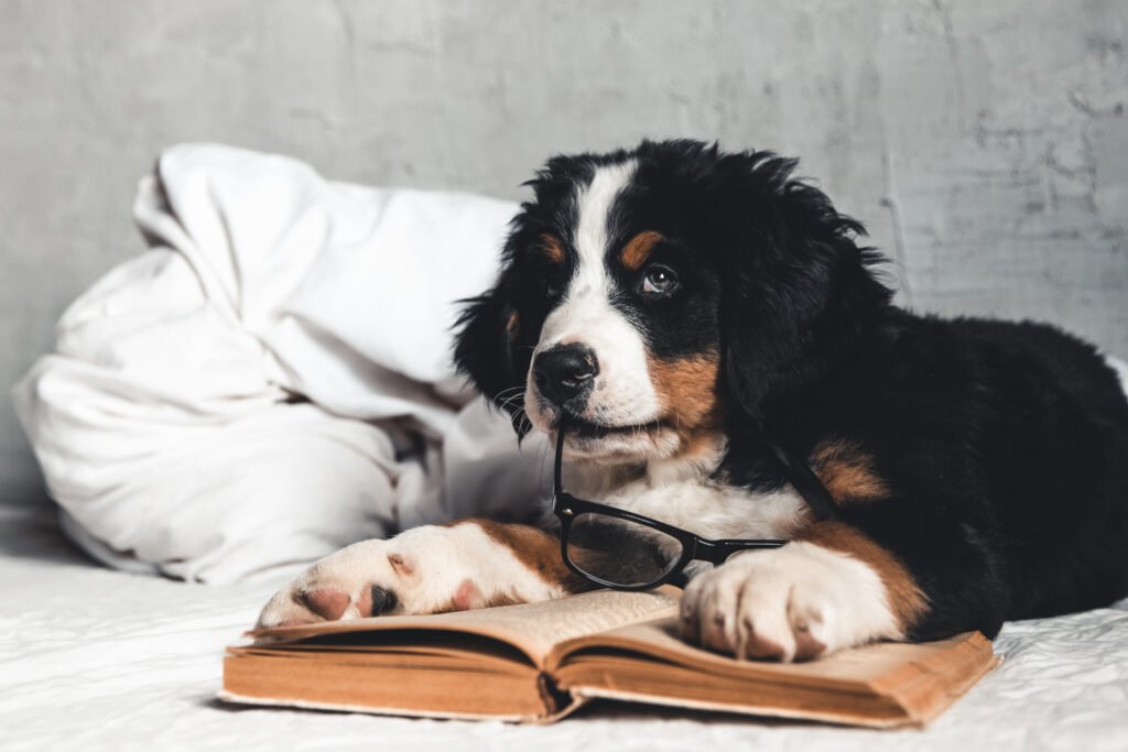 Male Literary Dog Names