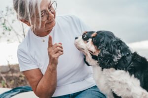 Communicating with dogs while training.