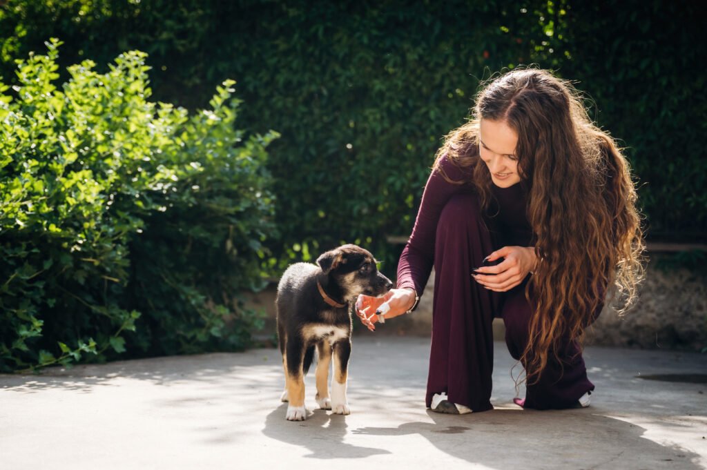 Dog Names