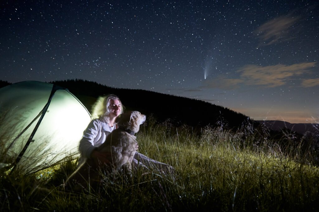Constellation Dog Names
