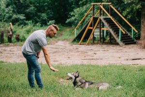 How to train your dog.