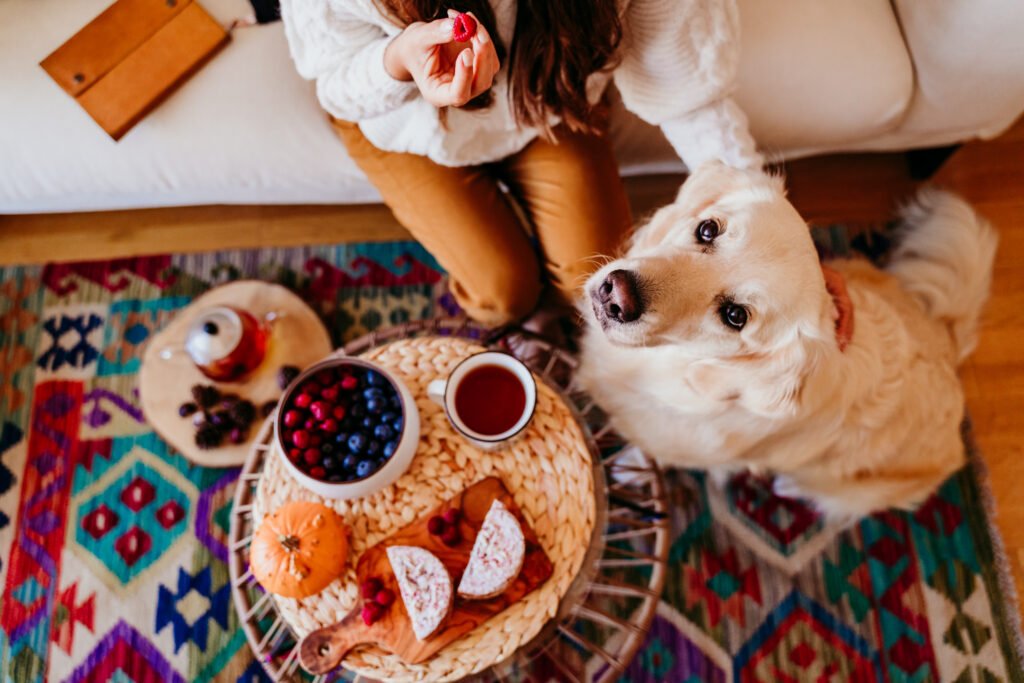 Food Dog Names