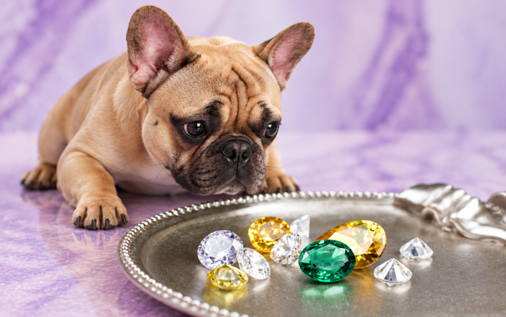 Gemstone Dog Names