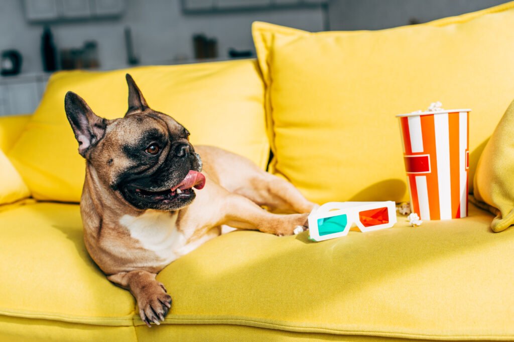 Male Movie Dog Names
