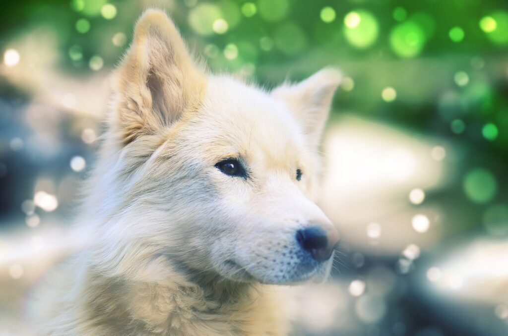Female Mythical Dog Names