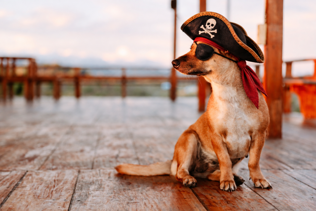 Pirate Dog Names