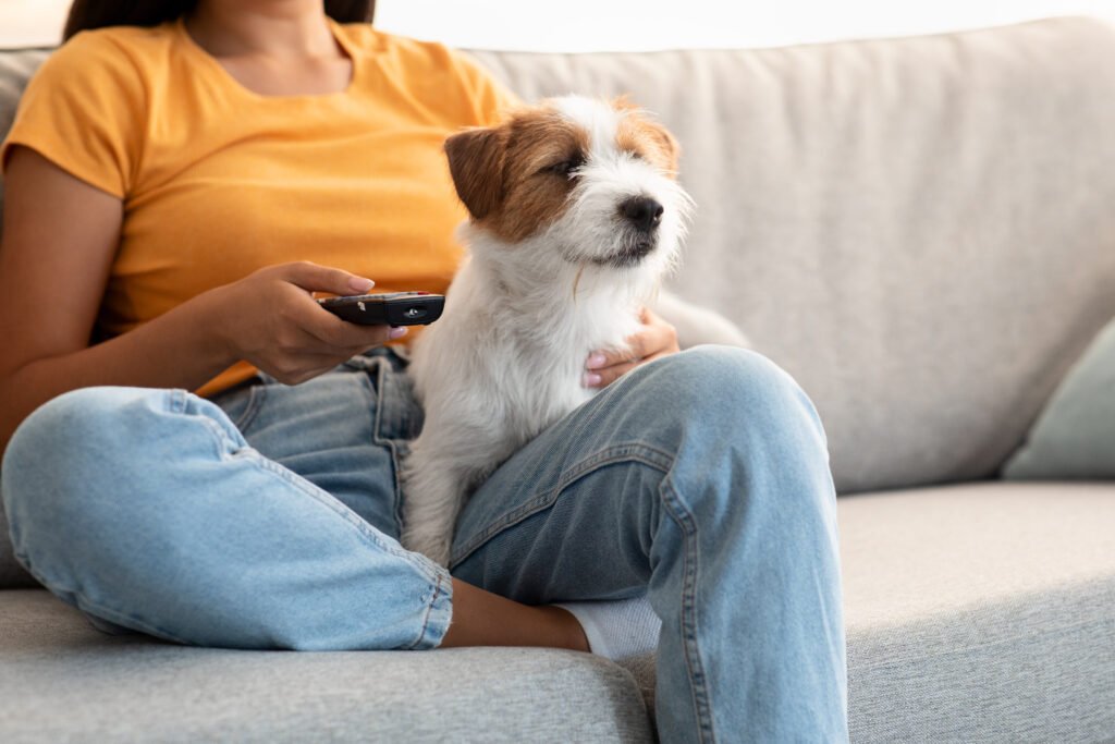 Female TV Dog Names