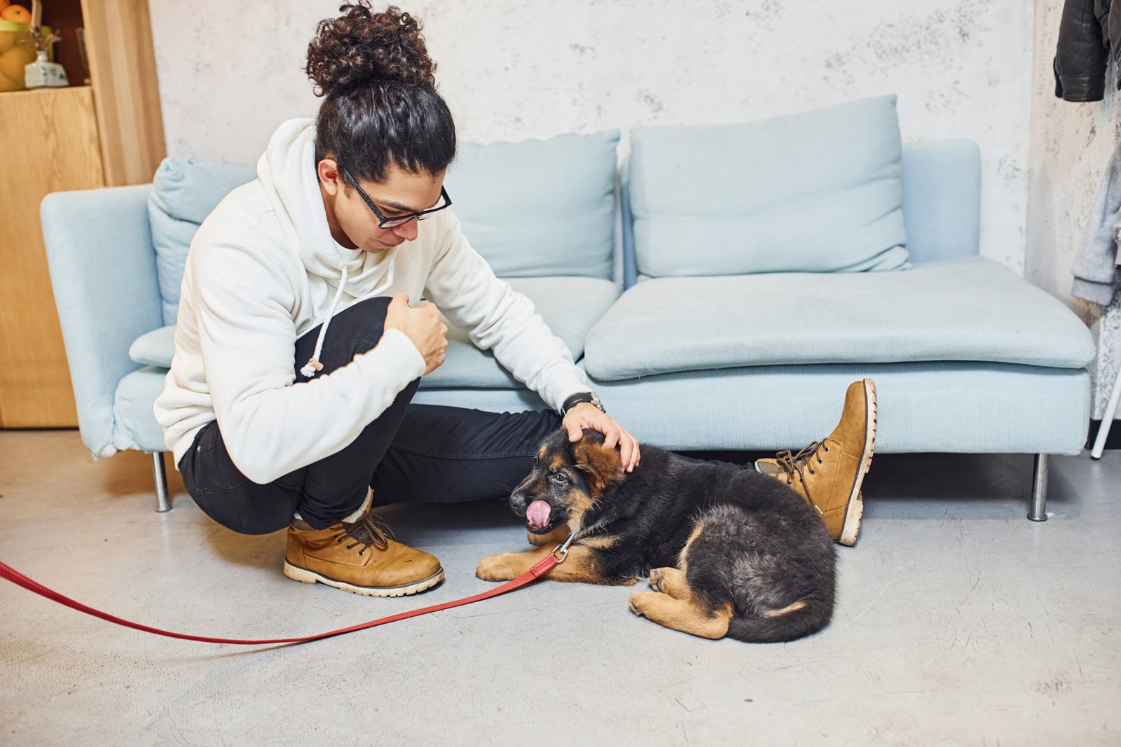 Bringing Home a New Dog: How to Help Your New Companion Settle In